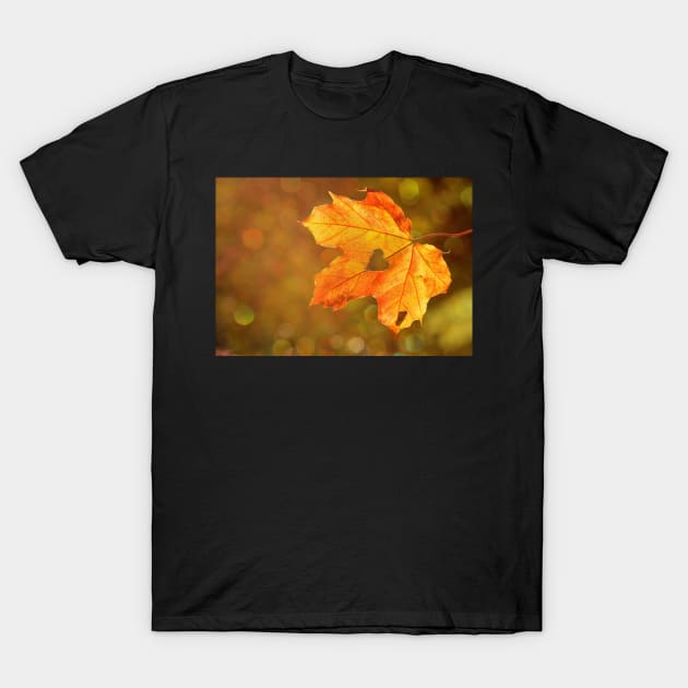 loving maple leaf with love T-Shirt by Designdaily